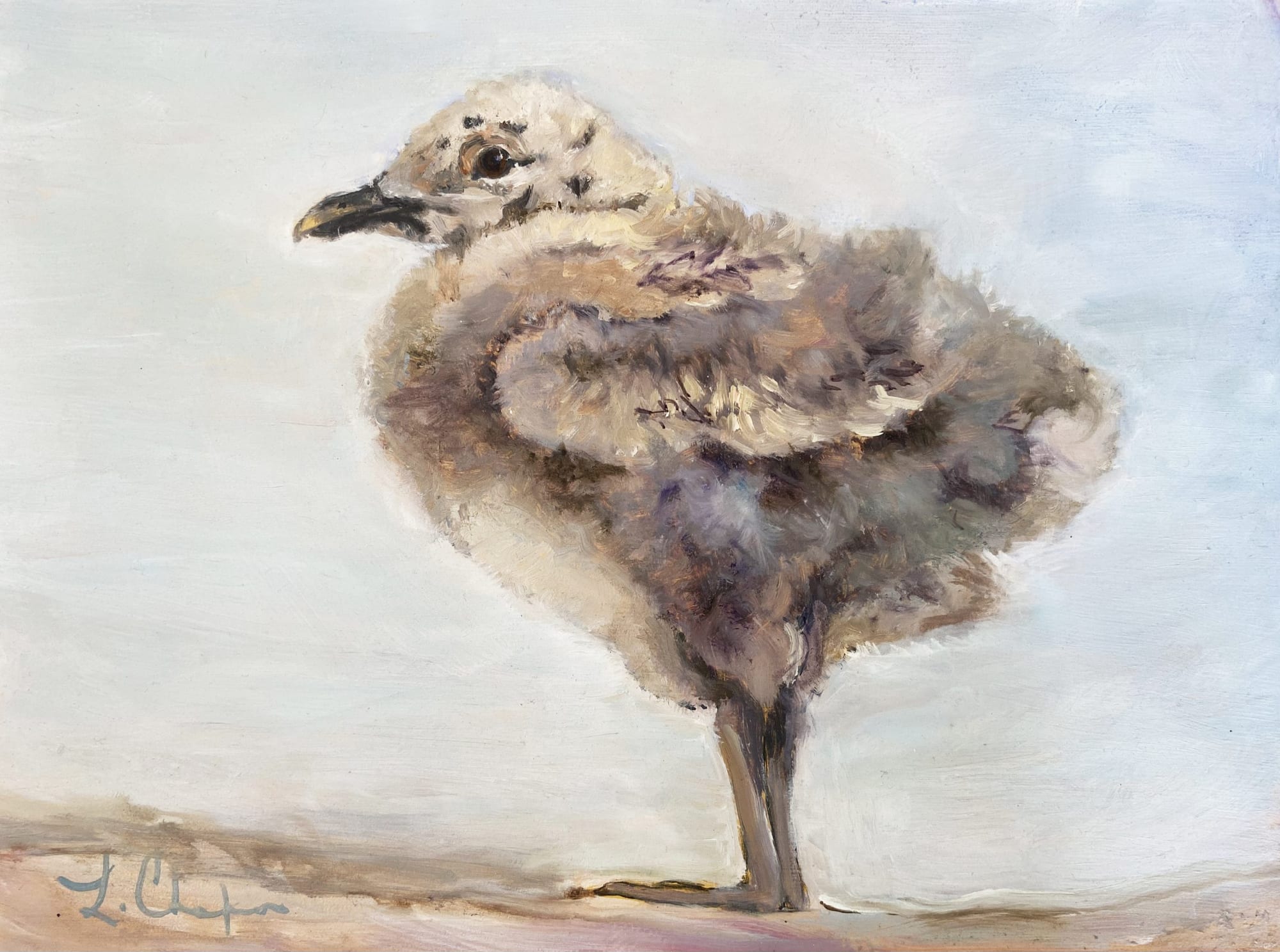 Baby Gull. Oil, 9x12 inches. Painting by Lorraine Skelskey-Chapin.