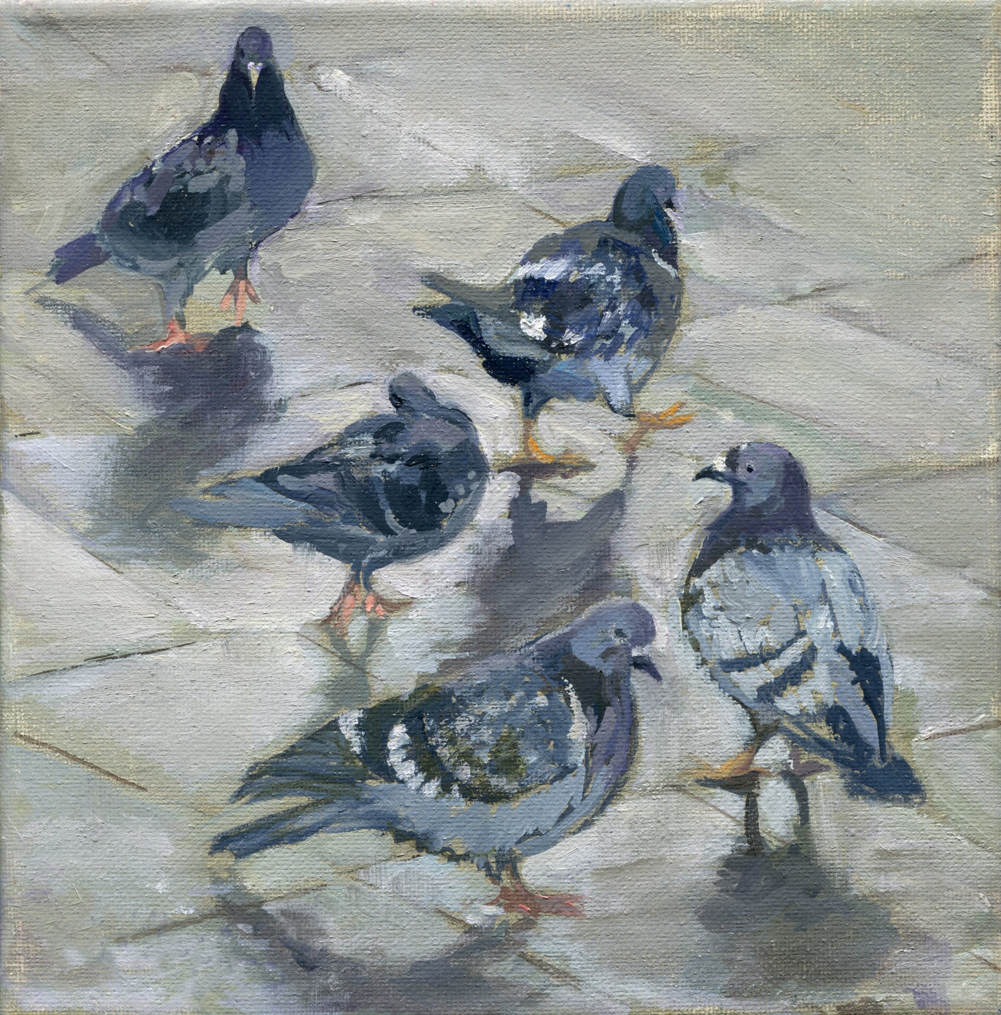City Slickers II. Oil, 8x8 inches. Painting by Lorraine Skelskey-Chapin.