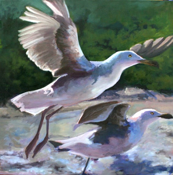 Freebirds. Oil, 18x18 inches. Painting by Lorraine Skelskey-Chapin.