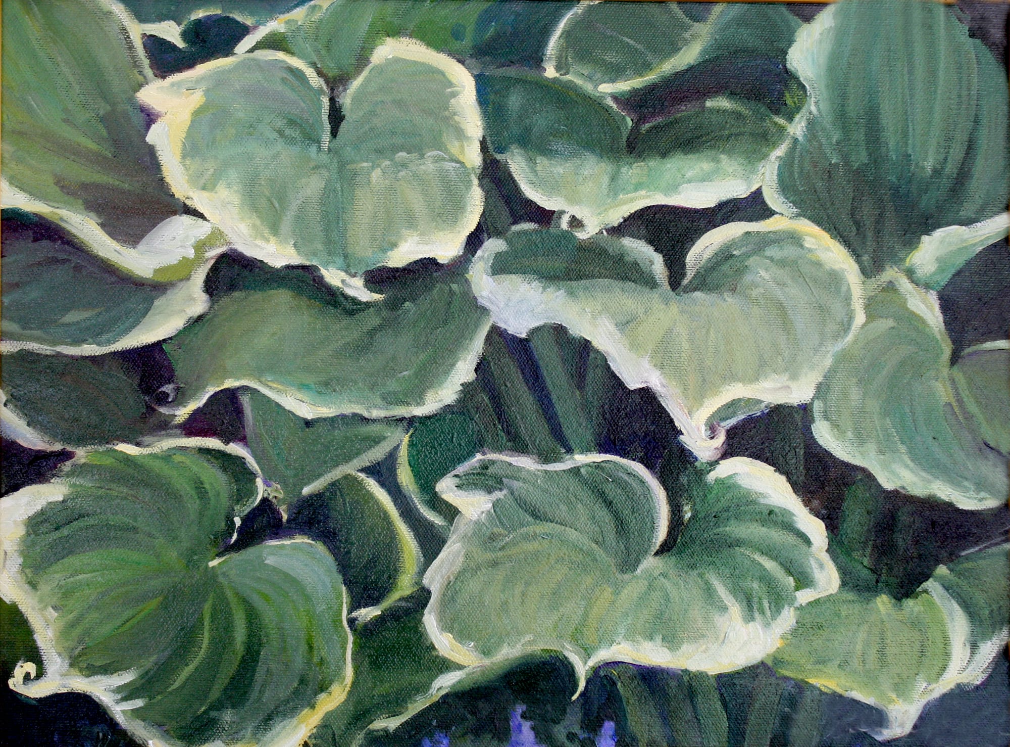 Hosta. Oil, 11x14 inches. Painting by Lorraine Skelskey-Chapin.