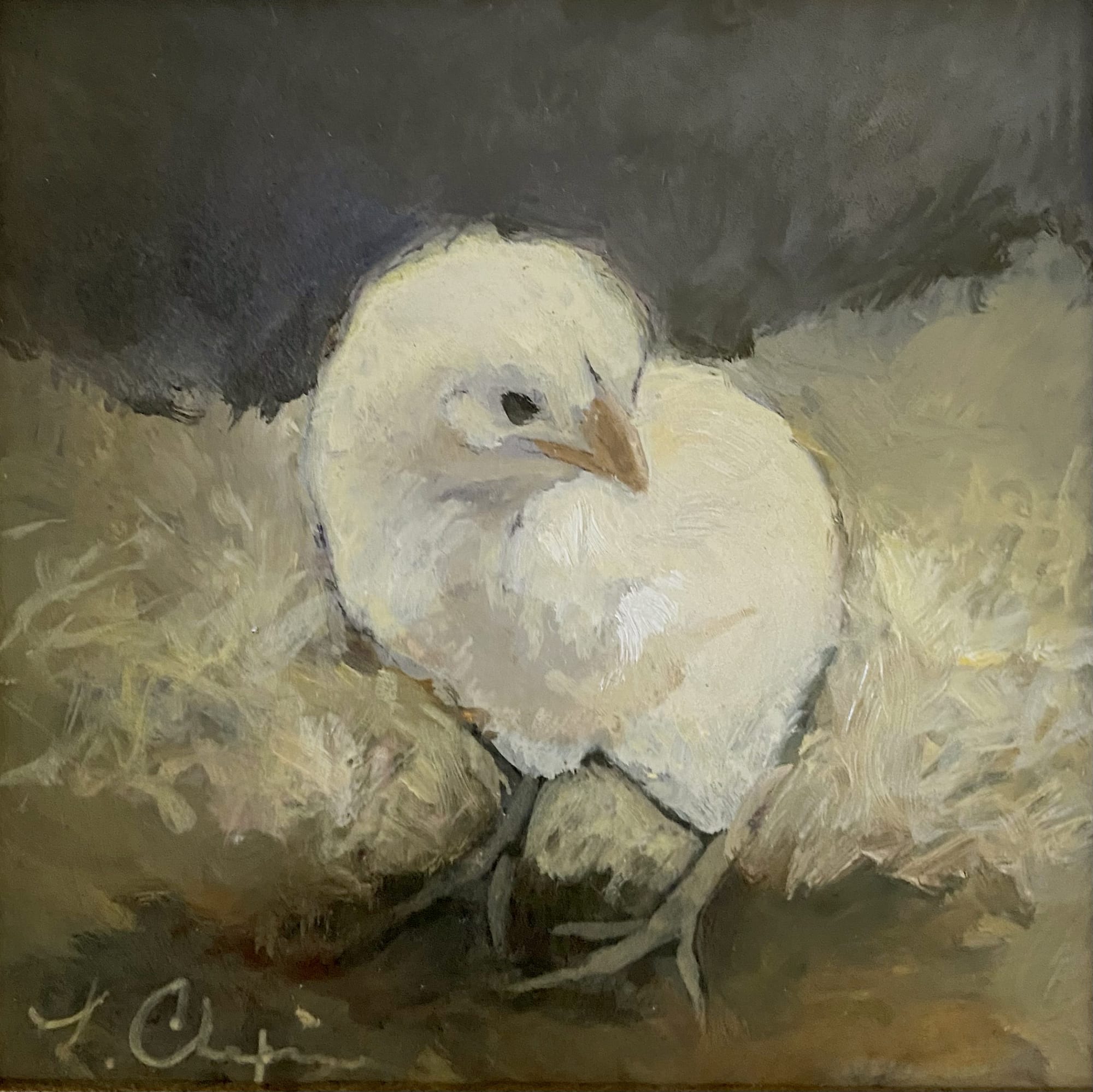 Little Peep. Oil, 6x6 inches. Painting by Lorraine Skelskey-Chapin.