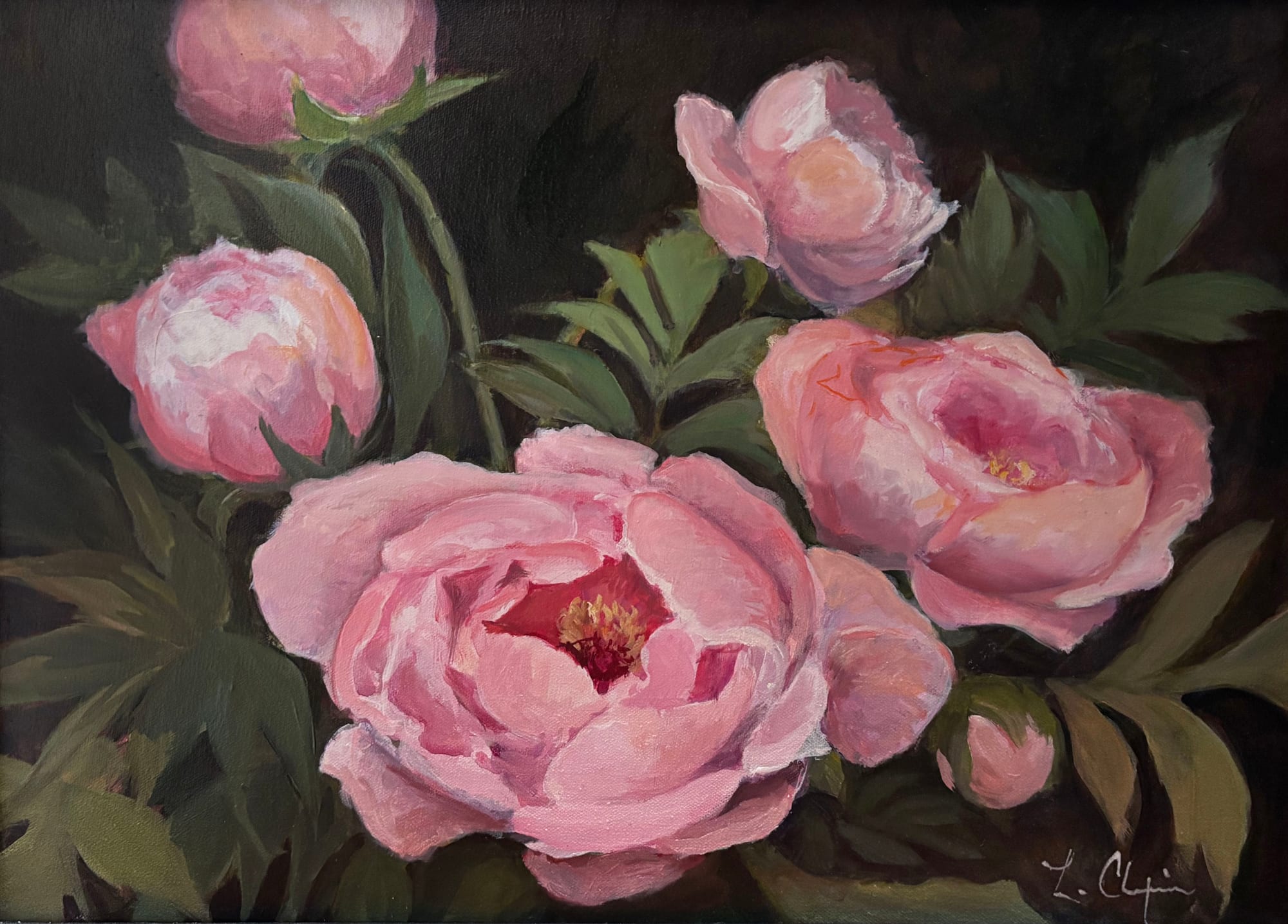 Five pale pink peonies, two fully open and three still in bud, set against a dark ground of green foliage. Painting by Lorraine Skelskey-Chapin, 12 by 16 inches.