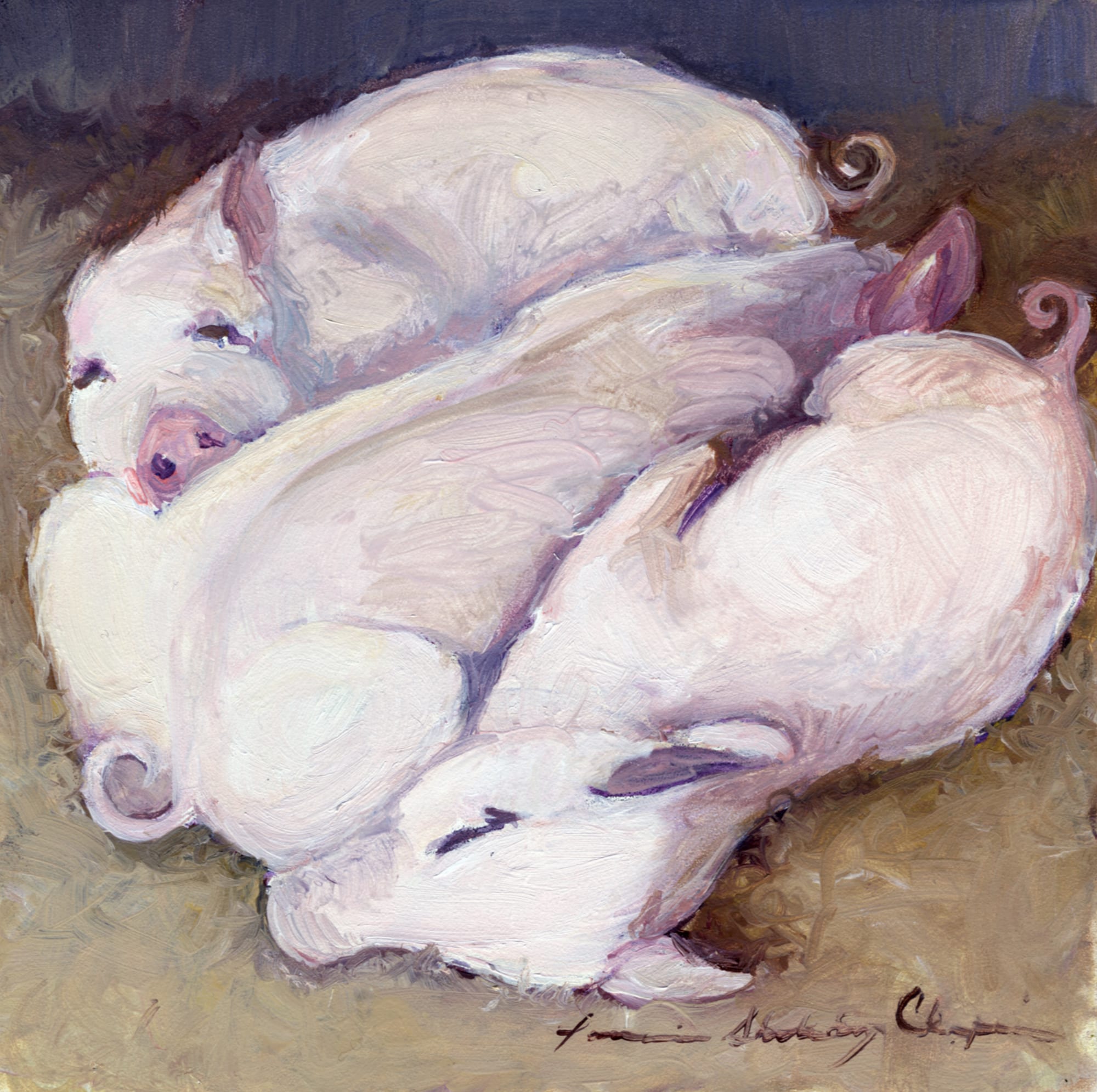 Piggy Tails. Oil, 6x6 inches. Painting by Lorraine Skelskey-Chapin.