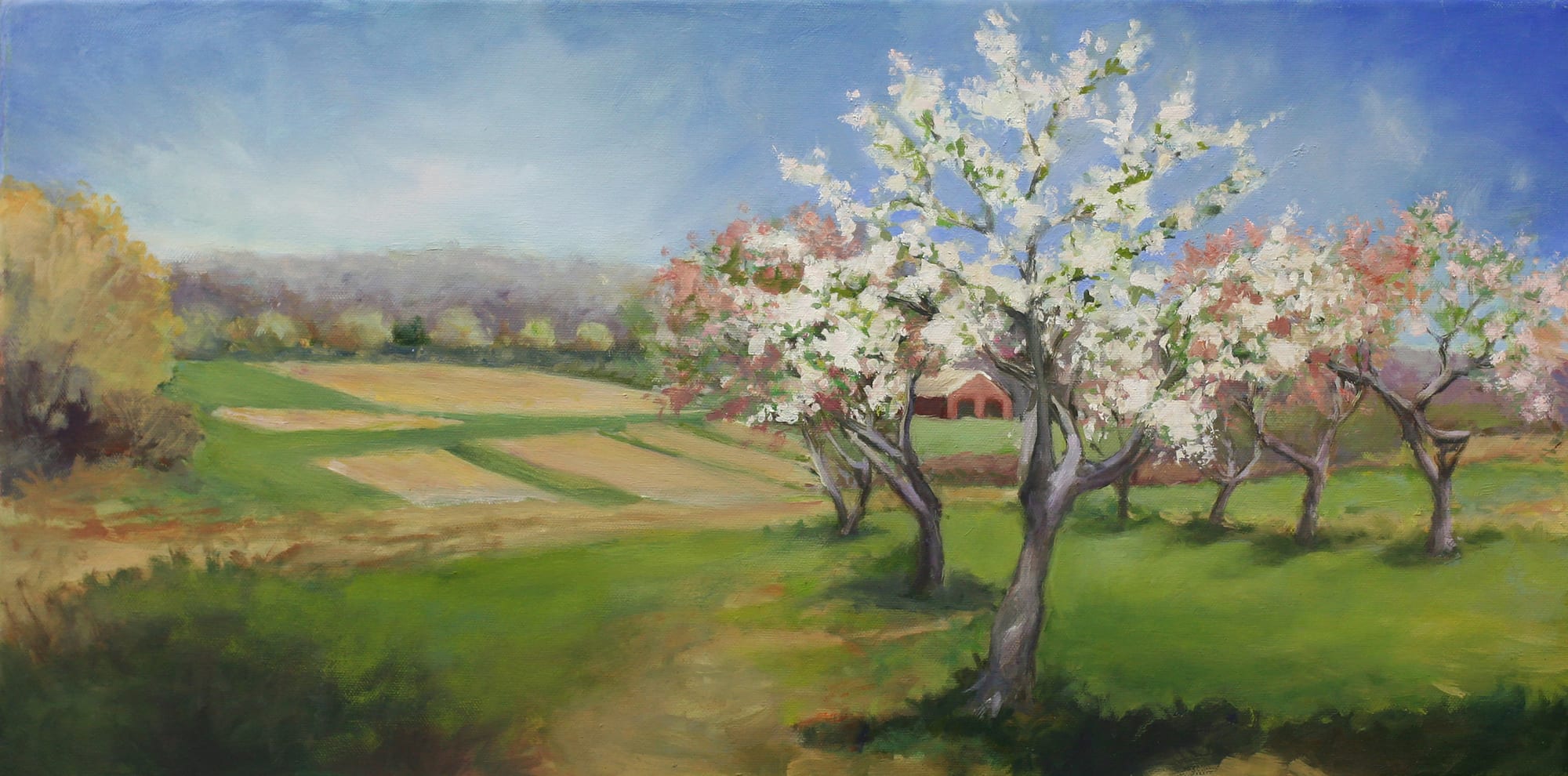 Spring Orchard. Oil, 12x24 inches. Painting by Lorraine Skelskey-Chapin.