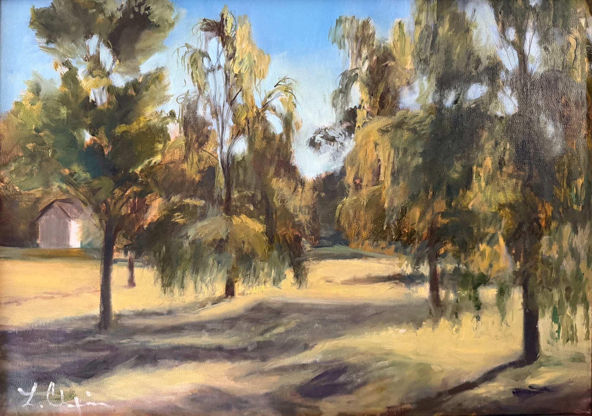 Willows trailing over a sunlit field in late afternoon, long shadows crossing the grass toward a small barn at the left. Oil painting by Lorraine Skelskey-Chapin, 12 by 16 inches.