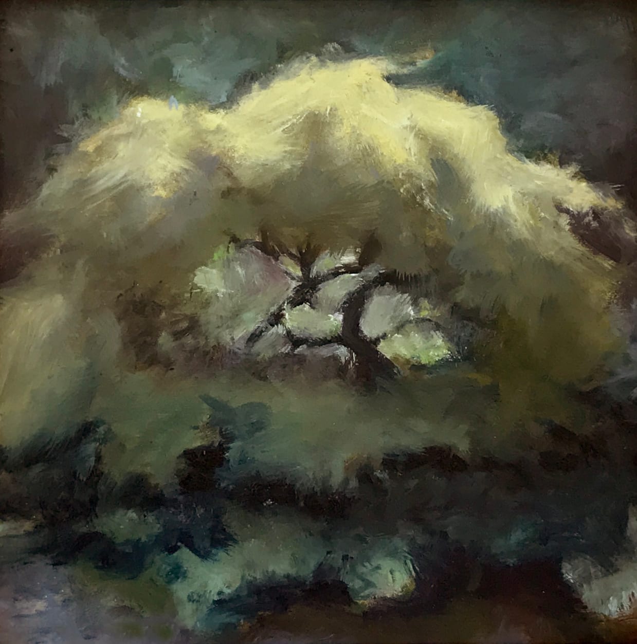 Zen Garden. Oil, 6x6 inches. Painting by Lorraine Skelskey-Chapin.